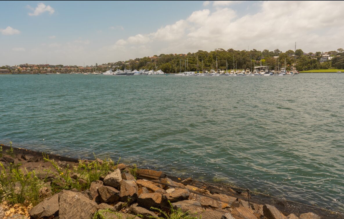 Screenshot 2025-12-17 130650